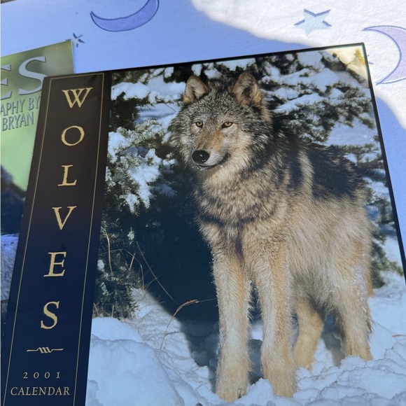 2000 & 2001 Wolves Themed Calendars & National Geographic Magazine - Picture 7 of 14